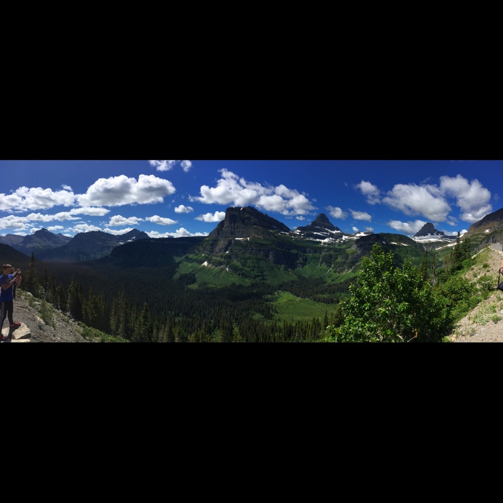 Meet your Posher, Brandi